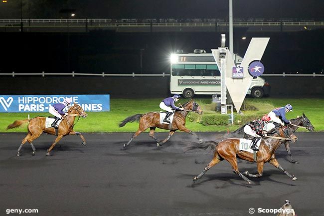 30/11/2024 - Vincennes - Prix de Sablé-sur-Sarthe : Arrivée