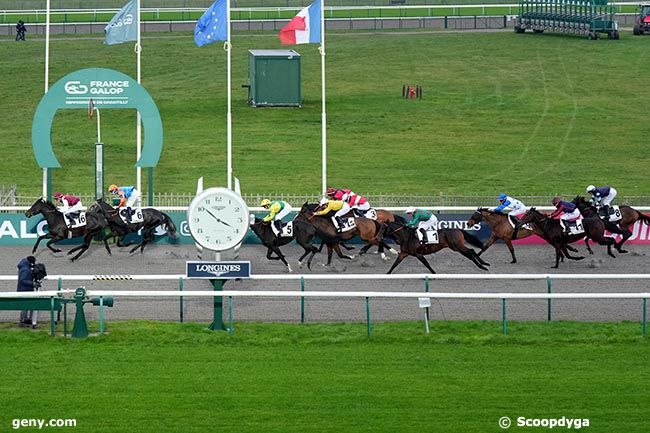 10/12/2024 - Chantilly - Prix de la Pelouse aux Yearlings : Arrivée