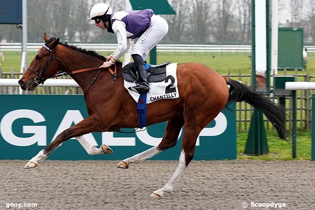 11/01/2025 - Chantilly - Prix du Bois de Précy : Ankunft