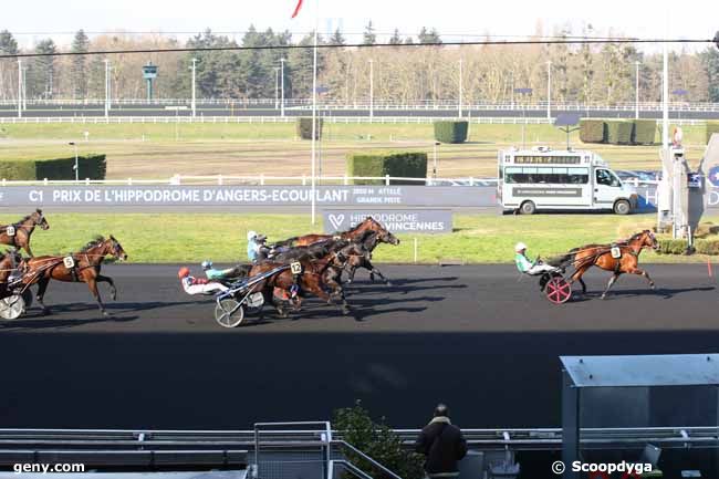 17/02/2025 - Vincennes - Prix de l'Hippodrome d'Angers-Ecouflant : Arrivée