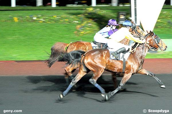 05/12/2008 - Vincennes - Prix Vibilia : Ankunft