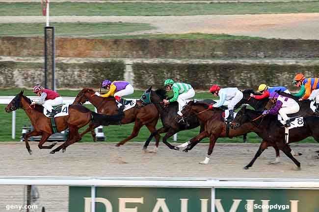 30/12/2008 - Deauville - Prix du Trieux : Arrivée