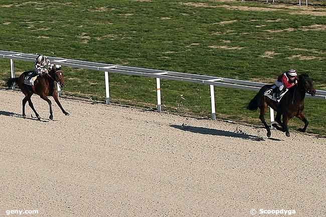 28/01/2009 - Cagnes-sur-Mer - Prix des Calanques : Result