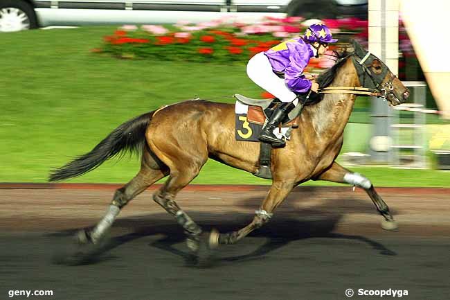 26/05/2009 - Vincennes - Prix Budrosa : Arrivée