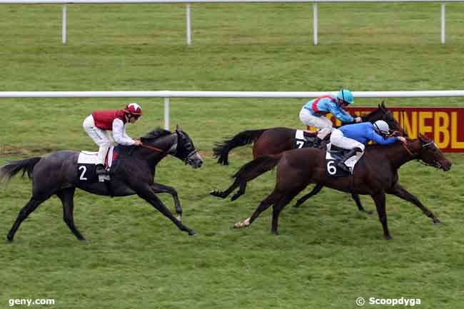 02/11/2010 - Fontainebleau - Prix de la Pinède : Ankunft