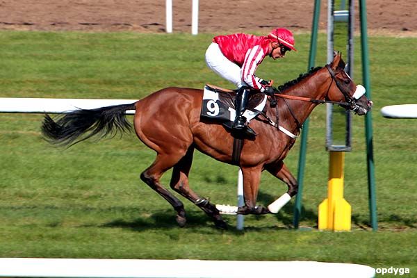 26/09/2011 - Fontainebleau - Prix Pierre Debroise : Arrivée