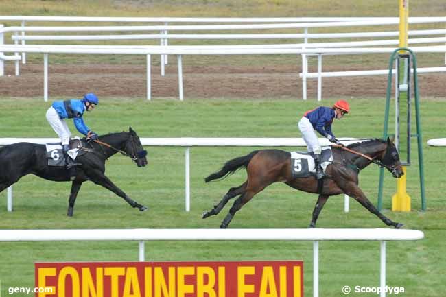 28/10/2011 - Fontainebleau - Prix d'Ury : Arrivée