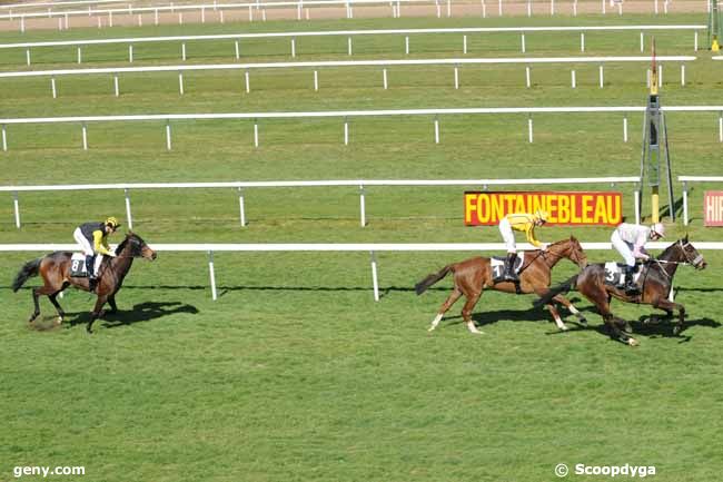 26/03/2012 - Fontainebleau - Prix Colonel Hebrard : Arrivée