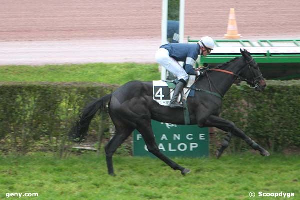 21/11/2012 - Enghien - Prix de Craon : Arrivée