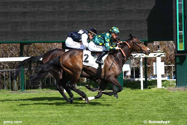 15/03/2020 - Saint-Cloud - Prix du Jardin des Tourneroches : Arrivée