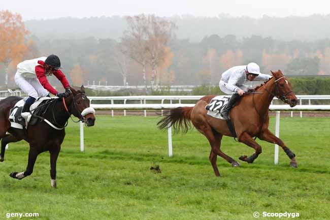 06/12/2022 - Fontainebleau - Prix du Fer à Cheval : Arrivée