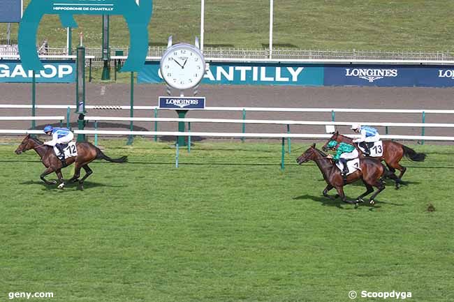 20/09/2023 - Chantilly - Prix de Toutevoie : Arrivée