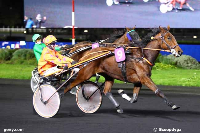 03/11/2023 - Vincennes - Prix Una : Arrivée