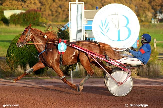 15/11/2023 - Bordeaux-Le Bouscat - Prix Bordeaux - Métropole : Arrivée