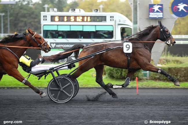 12/11/2024 - Vincennes - Prix de Bretigny : Arrivée