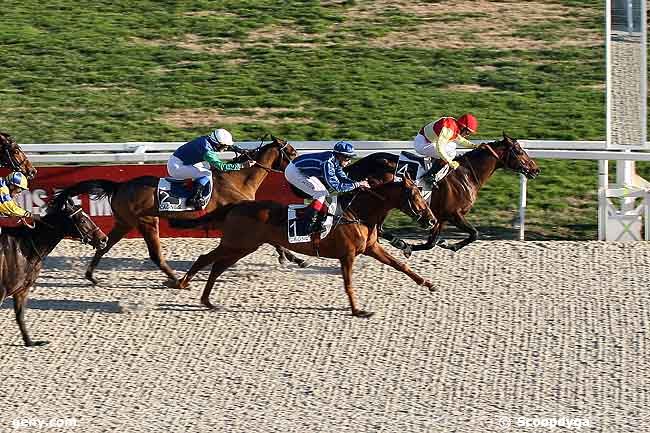 28/01/2009 - Cagnes-sur-Mer - Prix de Cabriès : Arrivée