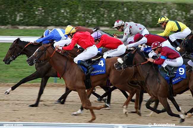 12/08/2010 - Deauville - Prix Etalon Nayef : Arrivée