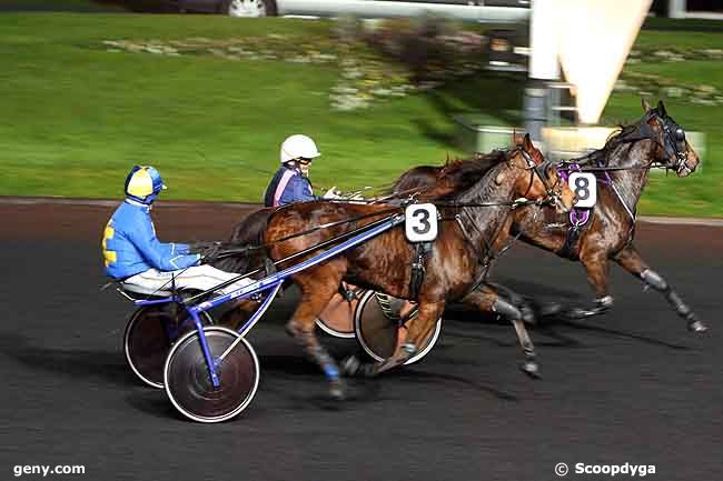 22/11/2011 - Vincennes - Prix Circinus (gr B) : Arrivée