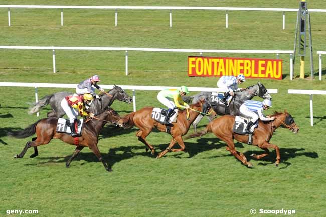 26/03/2012 - Fontainebleau - Prix des Frênes : Arrivée