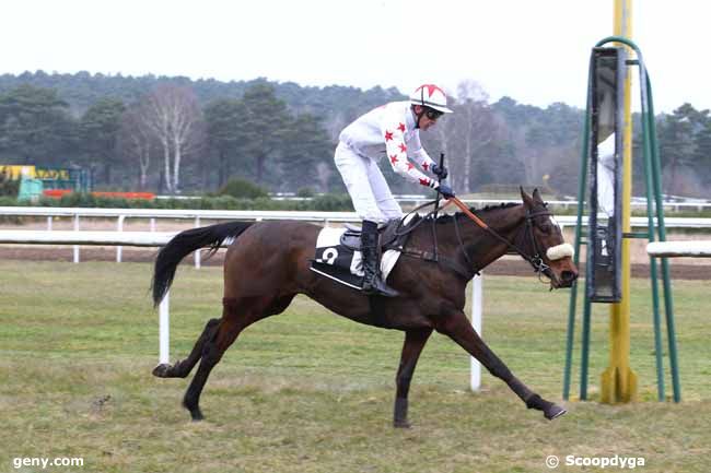 10/03/2015 - Fontainebleau - Prix des Bruyères : Arrivée