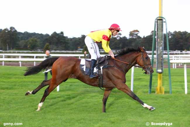 24/09/2015 - Fontainebleau - Prix www.courseschevaux.fr : Arrivée