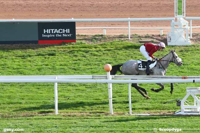 23/12/2015 - Cagnes-sur-Mer - Prix Alain du Breil : Arrivée