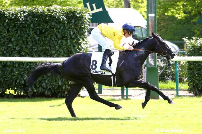 02/05/2018 - Chantilly - Prix de Brichebay : Result