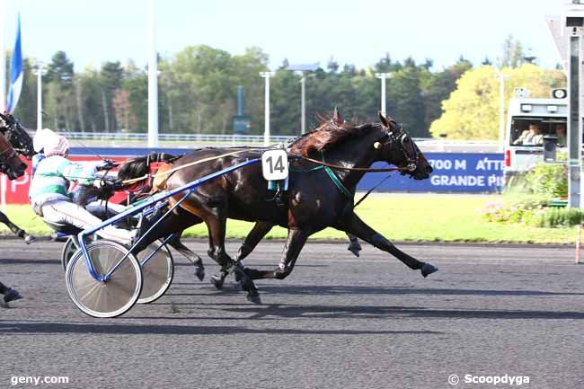 01/10/2019 - Vincennes - Prix Atalante : Ankunft