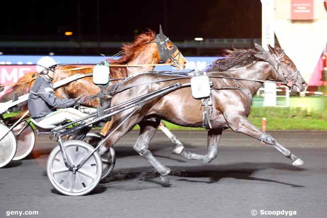 26/11/2019 - Vincennes - Prix Ottilia : Result