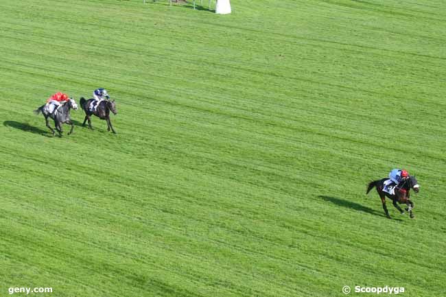 06/11/2021 - Auteuil - Prix Bournosienne : Arrivée