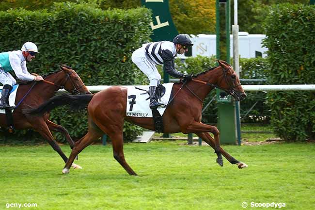 29/09/2022 - Chantilly - Prix de Villemétrie : Result