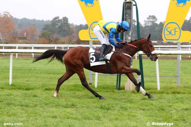 06/12/2022 - Fontainebleau - Prix Colonel Beaujean : Arrivée