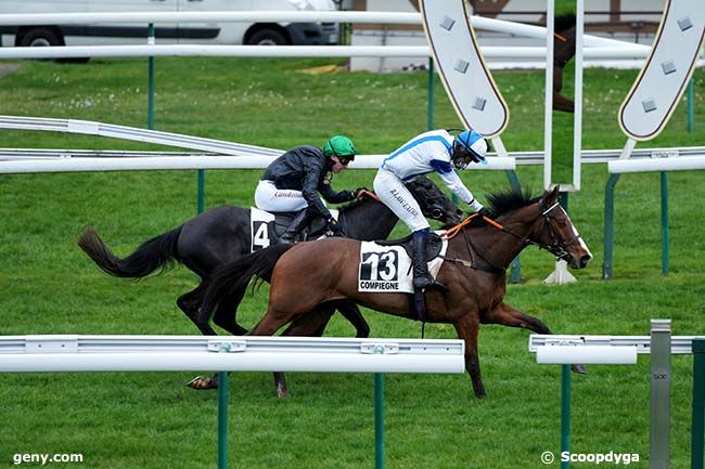 13/03/2024 - Compiègne - Prix du Carrefour de l'Obélisque : Arrivée