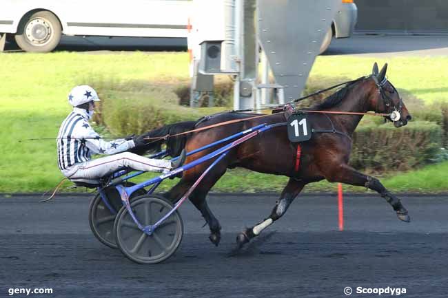 30/11/2024 - Vincennes - Prix des Dahlias : Result