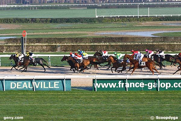 12/12/2007 - Deauville - Prix de Grandouet : Arrivée