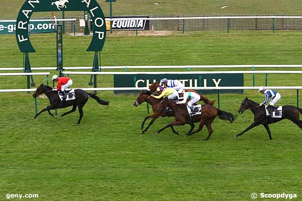 23/09/2008 - Chantilly - Prix de la Forterelle : Arrivée