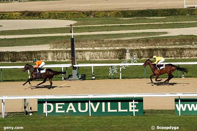 19/03/2009 - Deauville - Prix du Senequet : Arrivée