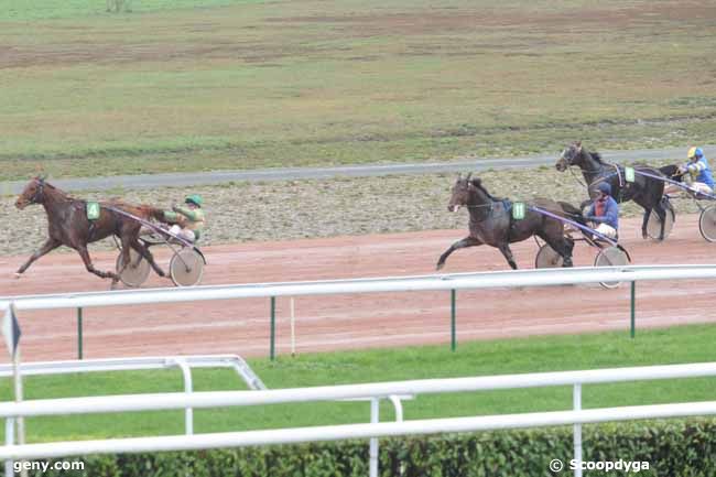 17/11/2010 - Bordeaux-Le Bouscat - Prix de Cagnes-sur-Mer : Ankunft