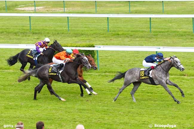 27/05/2013 - Compiègne - Prix Satilla : Arrivée