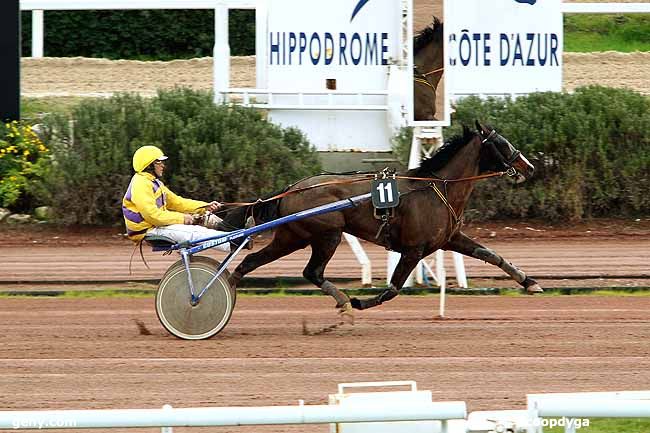 06/02/2015 - Cagnes-sur-Mer - Prix de Bédarieux : Arrivée