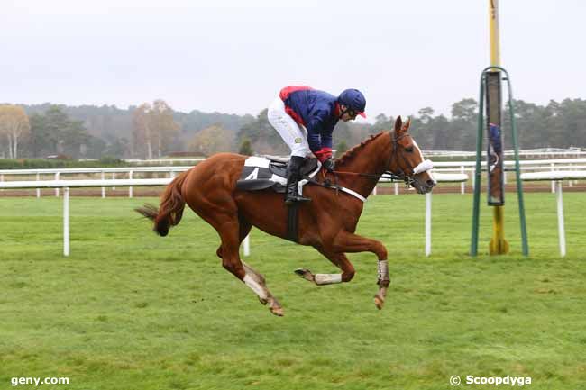 27/11/2015 - Fontainebleau - Prix Tremaille : Result