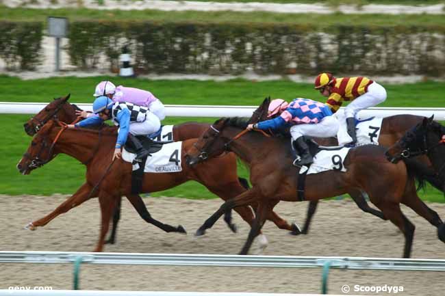 30/11/2015 - Deauville - Prix de Langerais : Result