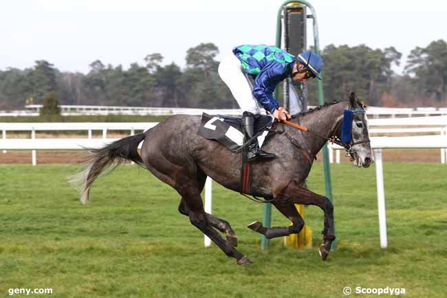 27/02/2016 - Fontainebleau - Prix de la Société des Courses de Craon : Arrivée