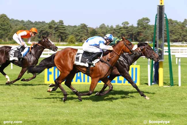 23/09/2016 - Fontainebleau - Prix des Fayards : Result