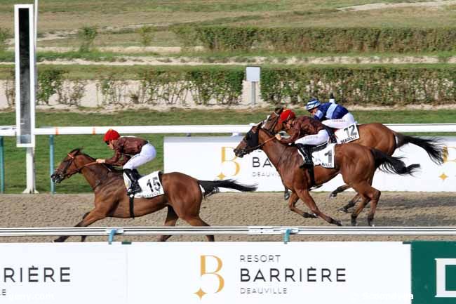 26/08/2017 - Deauville - Prix de la Reconversion d'un Cheval de Courses en Cheval de Jumping : Ankunft