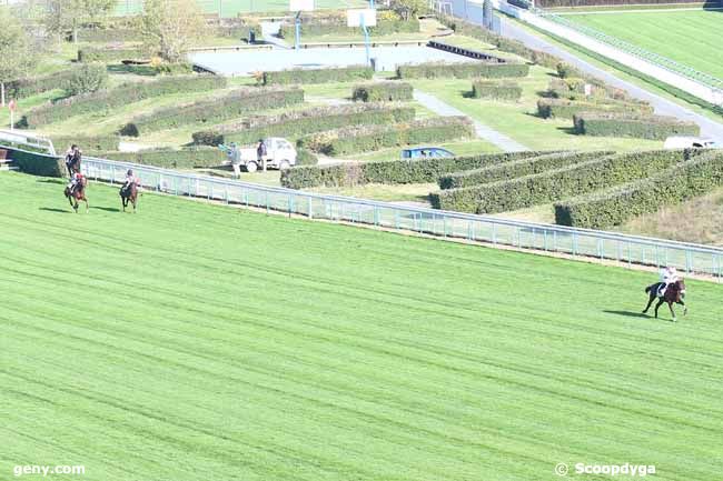 06/11/2021 - Auteuil - Prix Congress : Arrivée