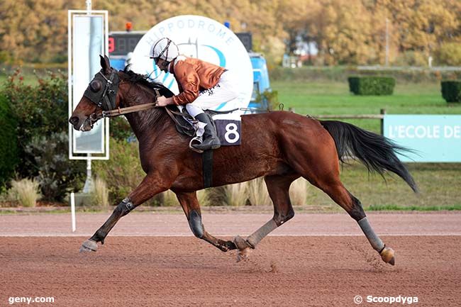 15/11/2023 - Bordeaux-Le Bouscat - Prix Fandango : Arrivée