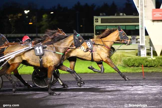 05/12/2023 - Vincennes - Prix des Camélias : Arrivée