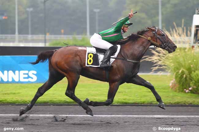 30/08/2024 - Vincennes - Prix Amalia : Arrivée