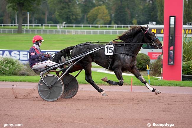 27/10/2024 - Enghien - Prix de Saint-Amand-les-Eaux : Arrivée